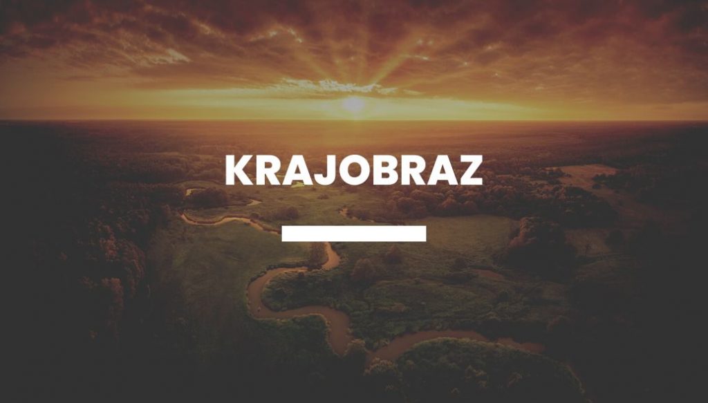 Krajobraz (Paweł Jagiełło)